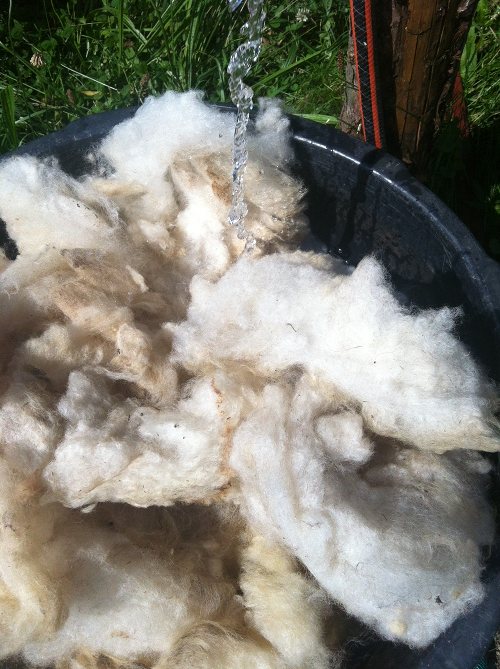 Wolle waschen